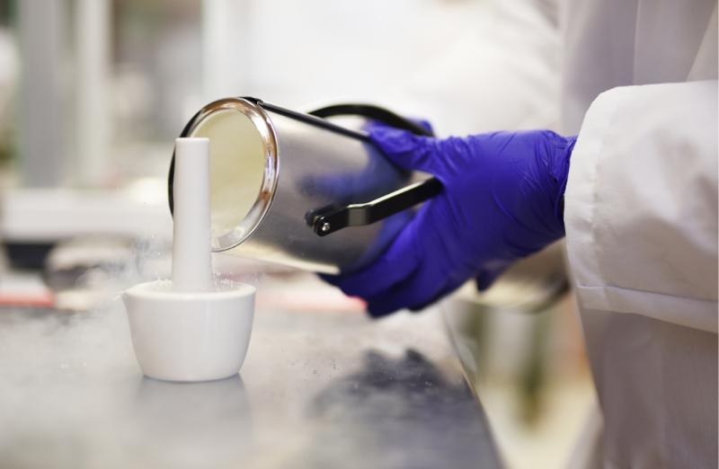 Environmental Toxicology