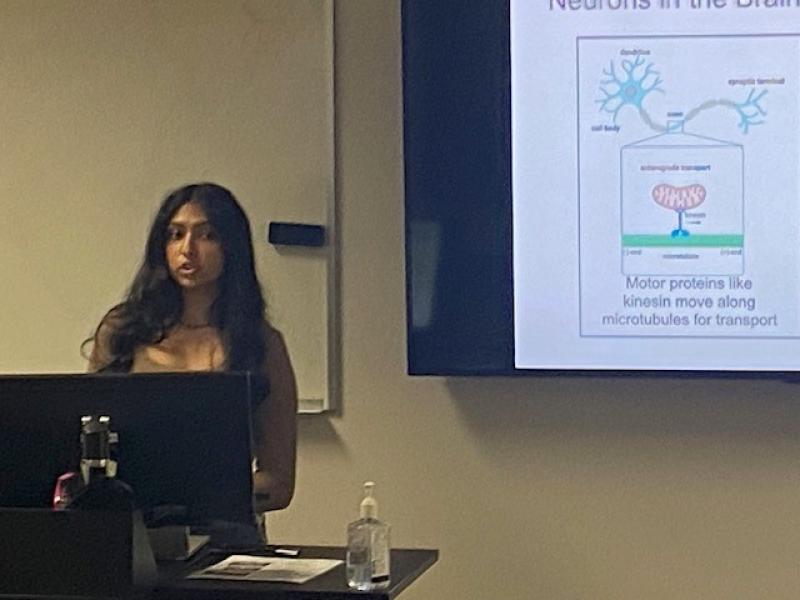 SURF student Vrinda Khullar makes her presentation to PhmTox students and faculty on Friday.